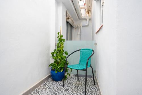 a chair and a potted plant in a hallway at Carrasco 4 in Vélez-Málaga