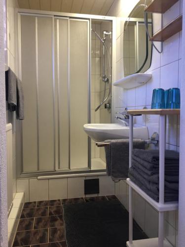 uma casa de banho com um chuveiro e um lavatório. em Haus am See em Ried im Oberinntal
