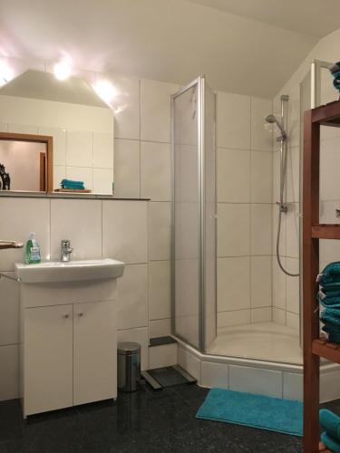 uma casa de banho com um chuveiro e um lavatório. em Bredeneyer Straße 66A em Essen