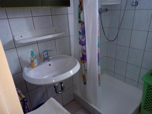 uma pequena casa de banho com um lavatório e um chuveiro em Villa Behija Ferienwohnung 1 Cikvenica em Crikvenica