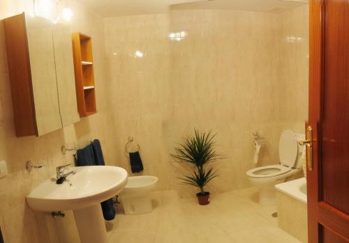 a bathroom with a sink and a toilet and a plant at EN PLAYA SAN VICENTE DE LA BARQUERA in San Vicente de la Barquera