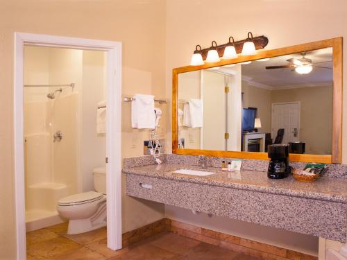 a bathroom with a sink and a toilet and a mirror at Desert Quail Inn Sedona at Bell Rock in Sedona