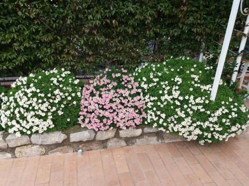 a bunch of flowers on a stone wall at Garden on the Sea in Vico Equense