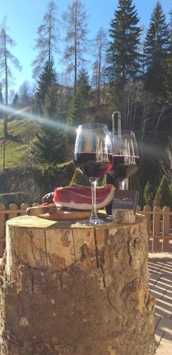 two glasses of wine sitting on top of a table at HartlHof in Proves