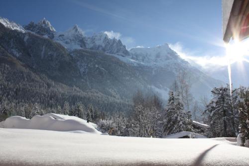 Les Chalets des Liarets photo 26