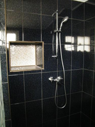 a shower in a black tiled bathroom at Iarca Cottage in Bucharest