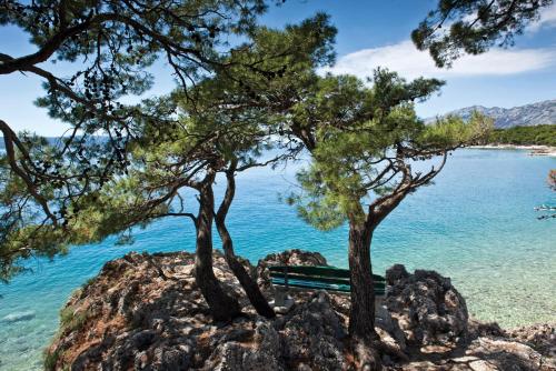 a bench sitting on top of a rock next to the water at Bluesun Hotel Maestral in Brela