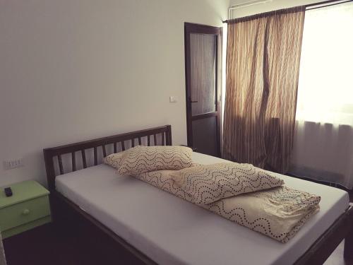 LupeniにあるCabana Alenaの寝室に枕が2つ置かれたベッド