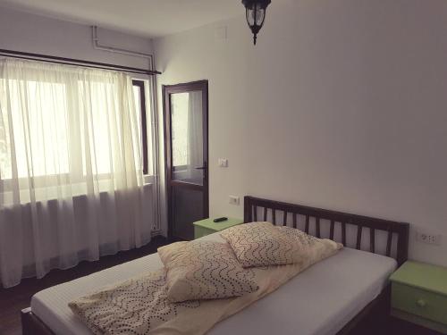 LupeniにあるCabana Alenaの窓とベッドのある部屋のベッド sidx sidx sidx