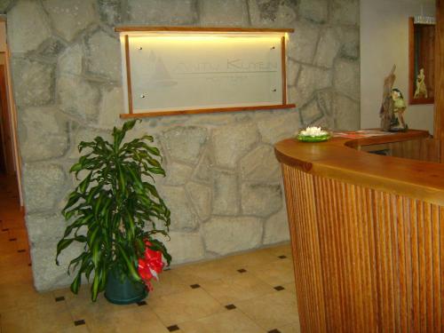 a potted plant sitting next to a stone wall at Hostería Antu Kuyen in San Carlos de Bariloche