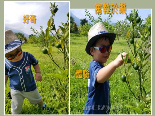 a young boy wearing a hat and sunglasses playing with an apple tree at Yi Tian Homestay in Fengli