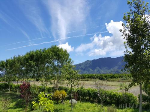 a field with trees and mountains in the background at Yi Tian Homestay in Fengli