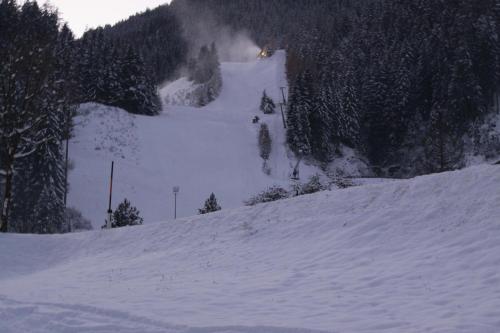 Haus-Ruitelspitzblick durante el invierno