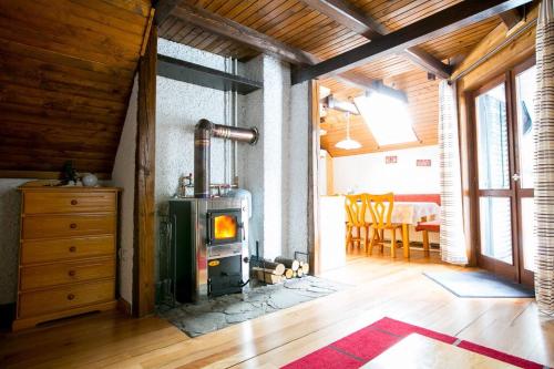 a living room with a wood stove in it at Rogla Chalet Urska in Resnik