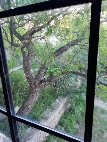 a view of a tree from a window at Mazet Des Artistes in Mouriès