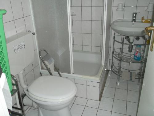 a small bathroom with a toilet and a sink at Villa Behija Ferienwohnung 3 Crikvenica in Crikvenica