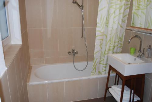 a bathroom with a shower and a tub and a sink at Niederfeld83 in Winterthur