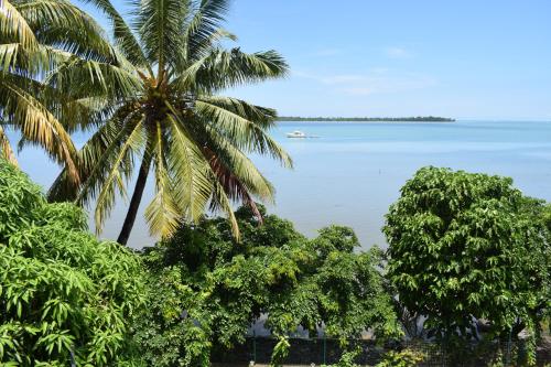 a view of a beach with palm trees and the ocean at Seaview Kite Studio - La Gaulette in La Gaulette