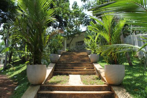 a set of stairs leading up to a house with palm trees at Beach Grove Villas in Unawatuna