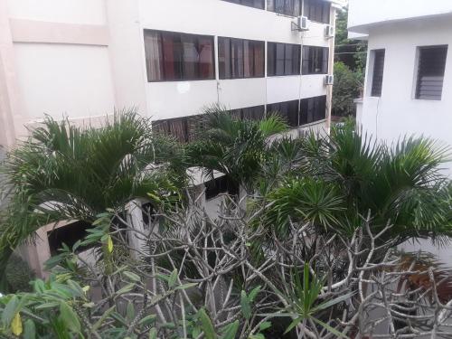a building with palm trees in front of it at Dre Broeders Apartments Juan Dolio in Juan Dolio