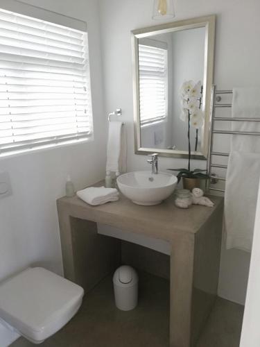 a bathroom with a sink and a mirror and a toilet at Seeplaas Guesthouse in Groot Brak Rivier