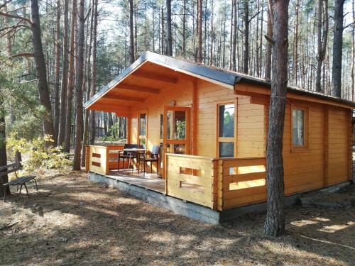 a wooden cabin in the woods with a table and chairs at Ośrodek Wypoczynkowy Nad Brdą in Tuchola
