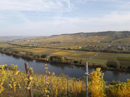 a river in the middle of a valley at Weingut Johanneshof in Minheim