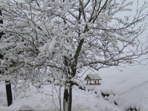 a tree covered in snow with a house in the background at Buchschneider - Ferienhaus Maier - Landhof in Schwarzautal