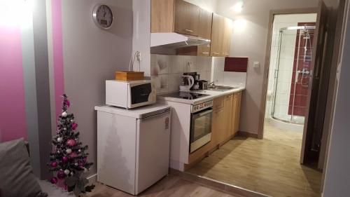 Kuhinja ili čajna kuhinja u objektu Apartament Grosik