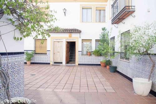 Los patios “ El Carmen”