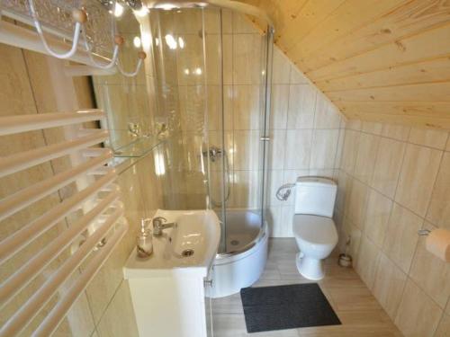 a bathroom with a shower and a sink and a toilet at Domek nad Lasem in Koniaków