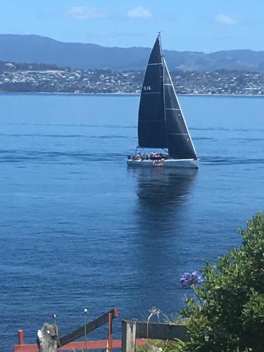 a sailboat in the water with people on it at Beach Buoy Opossum Bay in South Arm