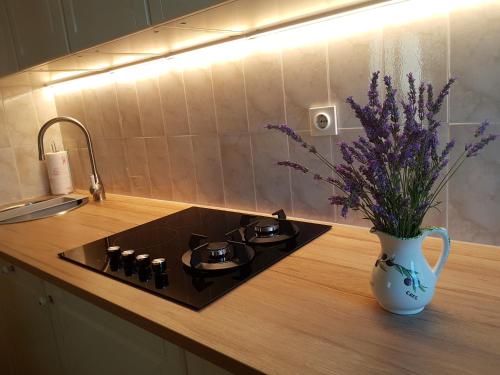 - un comptoir de cuisine avec une cuisinière et un vase de fleurs dans l'établissement Cres view apartments, à Cres
