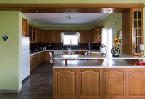 Dapur atau dapur kecil di Chara's Private Villa with Swimming Pool & jacuzzi