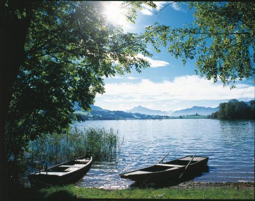 three boats sitting on the shore of a lake at Hotel Garni Dorferwirt am Irrsee in Tiefgraben