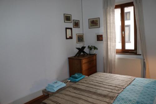 a bedroom with a bed and a window at Vintage Inn Tübingen in Tübingen