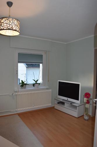 ein Wohnzimmer mit einem Flachbild-TV und einem Fenster in der Unterkunft Ferienwohnung Wörrstadt in Wörrstadt