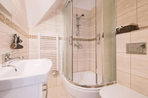 a bathroom with a shower and a sink and a toilet at Willa 35 in Leśnica