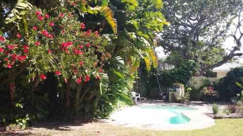 a garden with pink flowers and a swimming pool at 11 Lucius Way in Cape Town