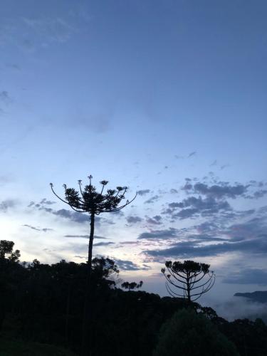 two trees on top of a hill at dusk at Refúgio da Montanha in Urubici