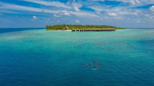 a small island in the middle of the ocean at Filitheyo Island Resort in Filitheyo