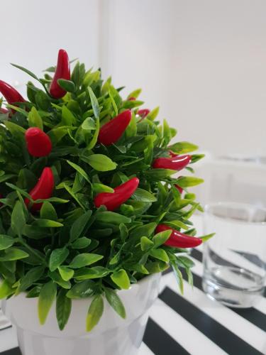 un bouquet di tulipani rossi in un vaso bianco di Perla Sicula a Catania