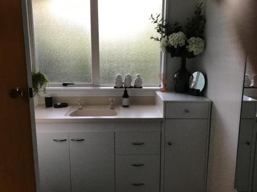 baño con lavabo y ventana en Self contained and private room en Dunedin