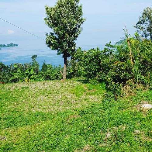  Rebero Kivu Resort -  Chambre  photo :   Minibar    Shower    TV                           