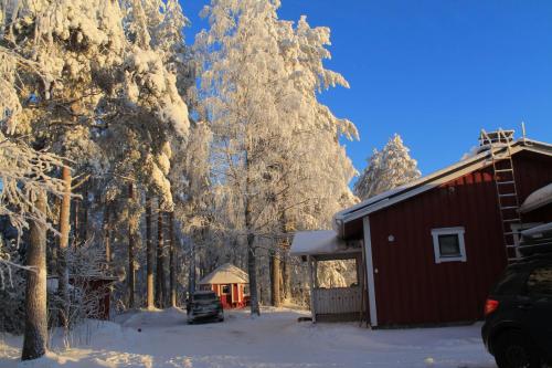 a red cabin in the snow next to trees at Maatilamatkailu Jänisvaara in Kolinkylä