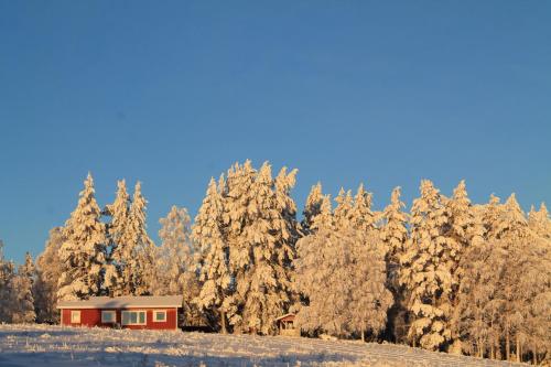 a red cabin in the middle of a snow covered forest at Maatilamatkailu Jänisvaara in Kolinkylä