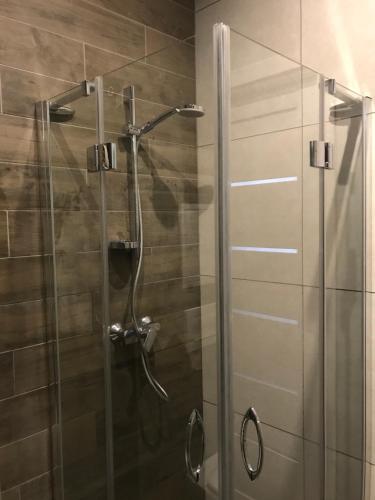 a shower with a glass door in a bathroom at VIP Apartment Ploscha Rynok in Lviv