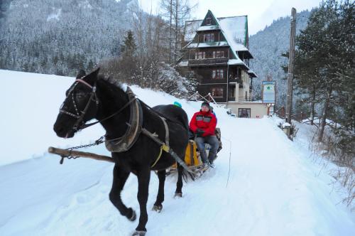 a man riding a horse drawn sleigh in the snow at Schronisko PTTK Trzy Korony in Sromowce Niżne