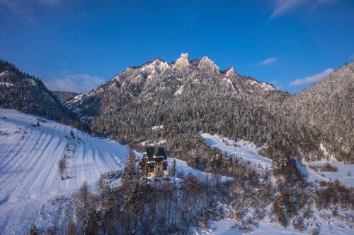 a snow covered mountain with trees and a ski lodge at Schronisko PTTK Trzy Korony in Sromowce Niżne
