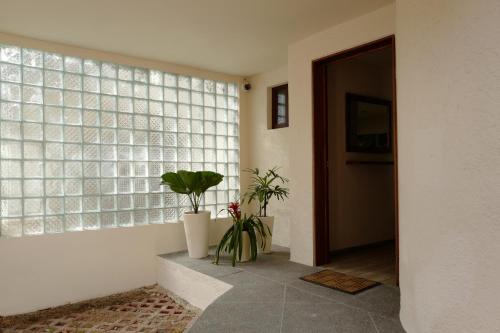 a hallway with two potted plants and a window at Villas La Ceiba in Playa del Carmen